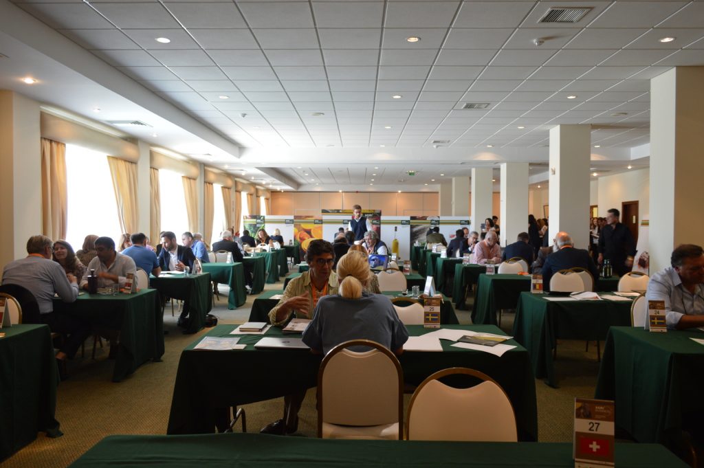 Agribusiness 2019