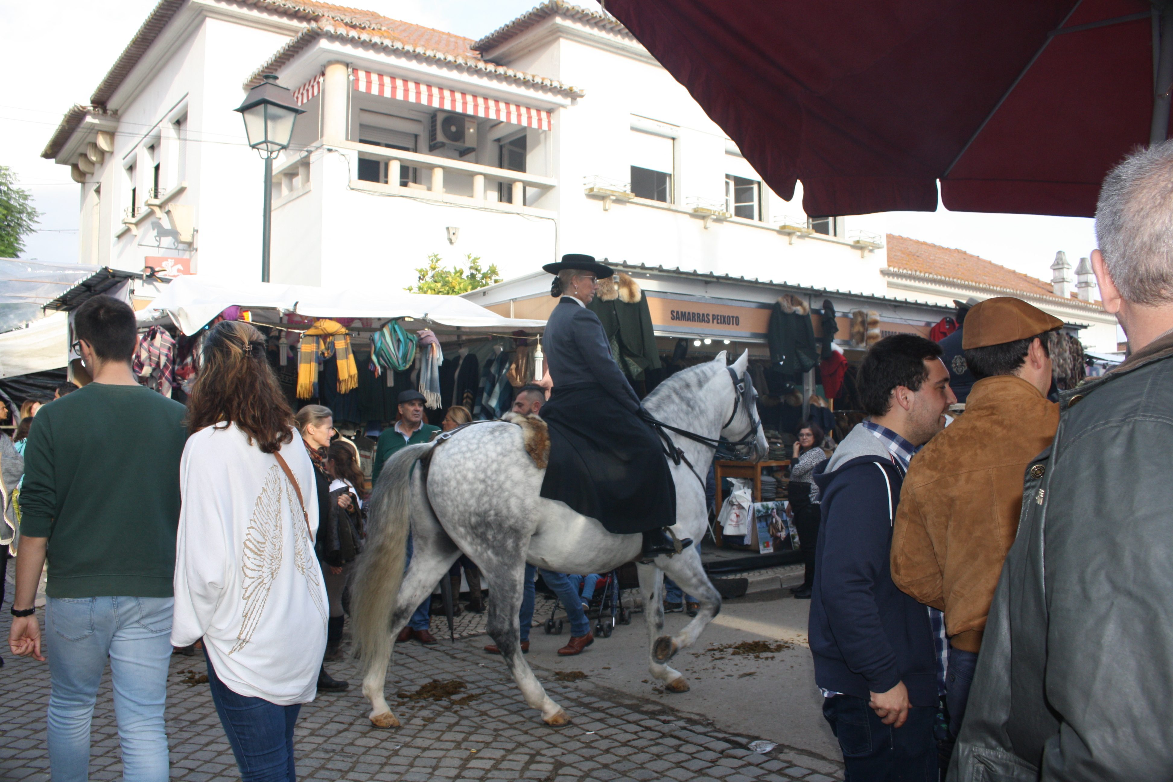 IMG 7678