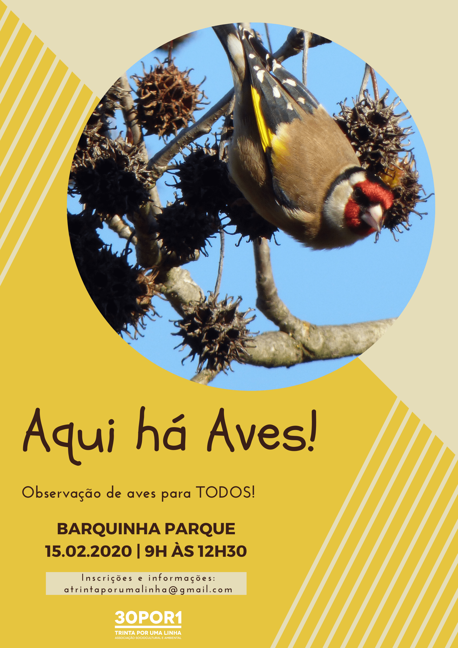 Aqui há Aves Fev2020 Aqui há Aves Fev2020