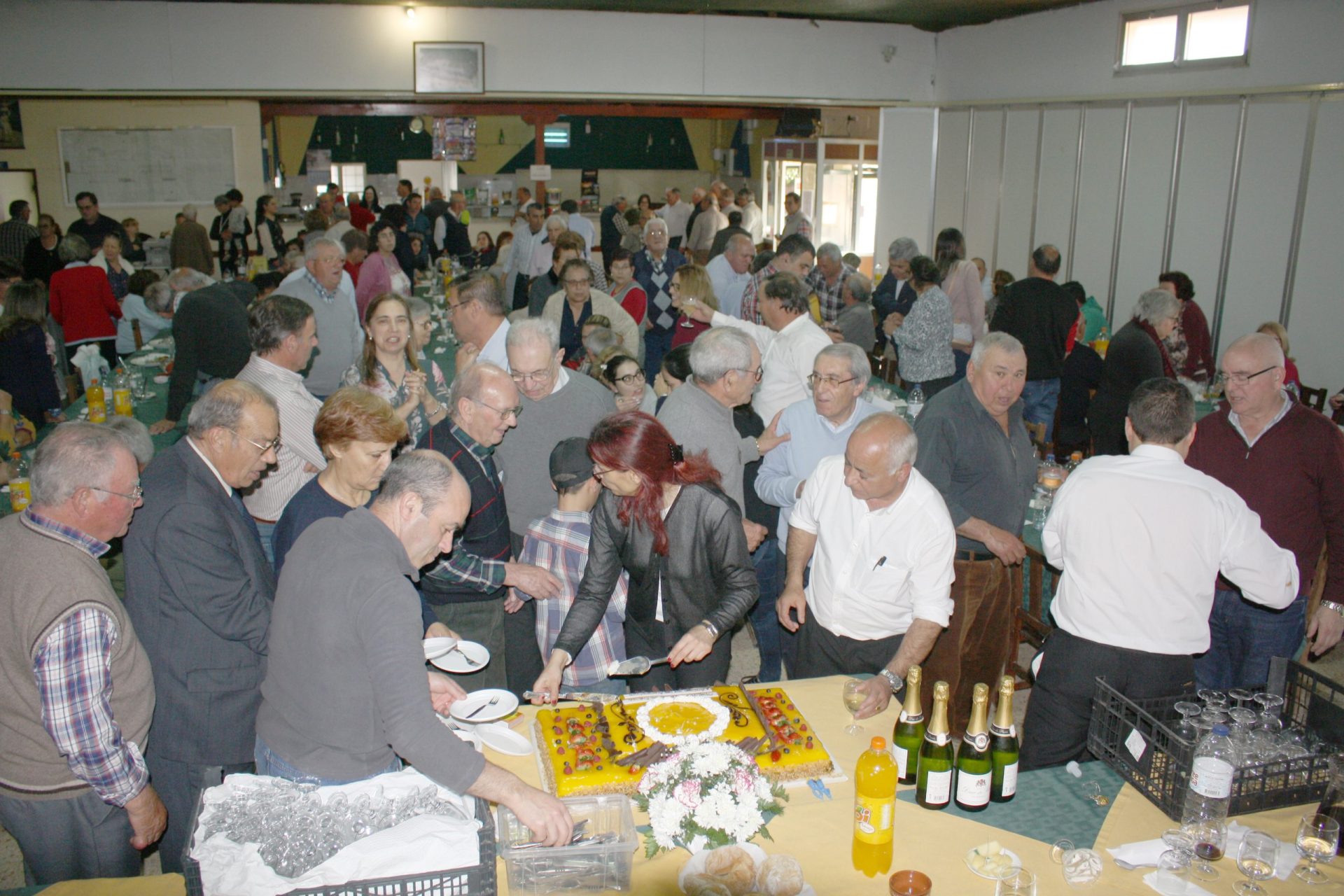IMG 7935