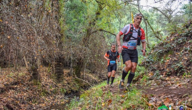 nocturnos zezere trail media 2 2019 960x640 509643 566945