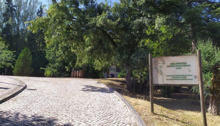 Mata Municipal Toná