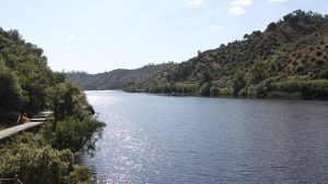 listagem projetos tejo