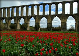 Aqueduto dos Pegoes em Tomar. manuel caetano