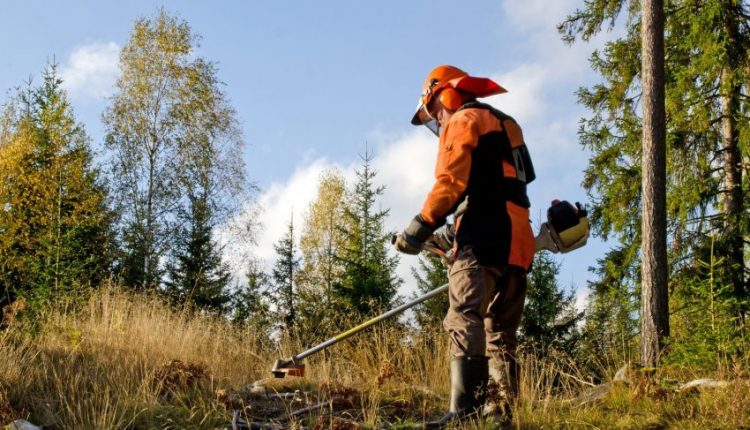 121170 worker with a brush cutter 1554379238 850x514 1