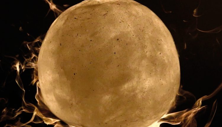 Transmutations Jessica Pereira Gaspar