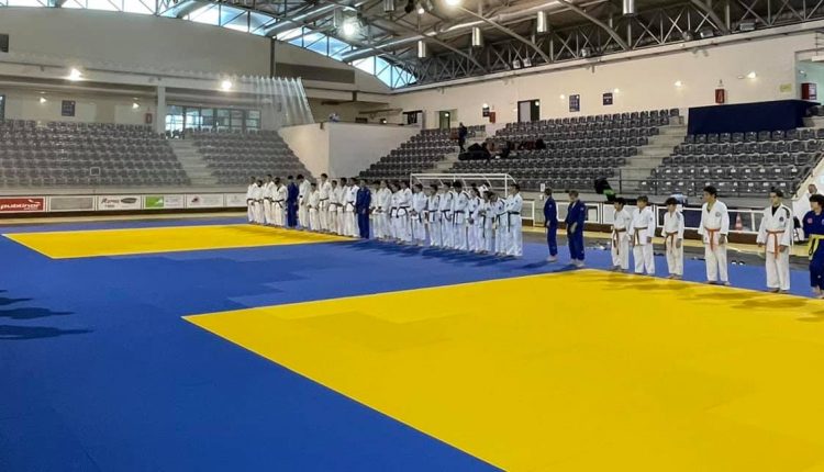 251233853 10159225832921014 8403033654716694727 n