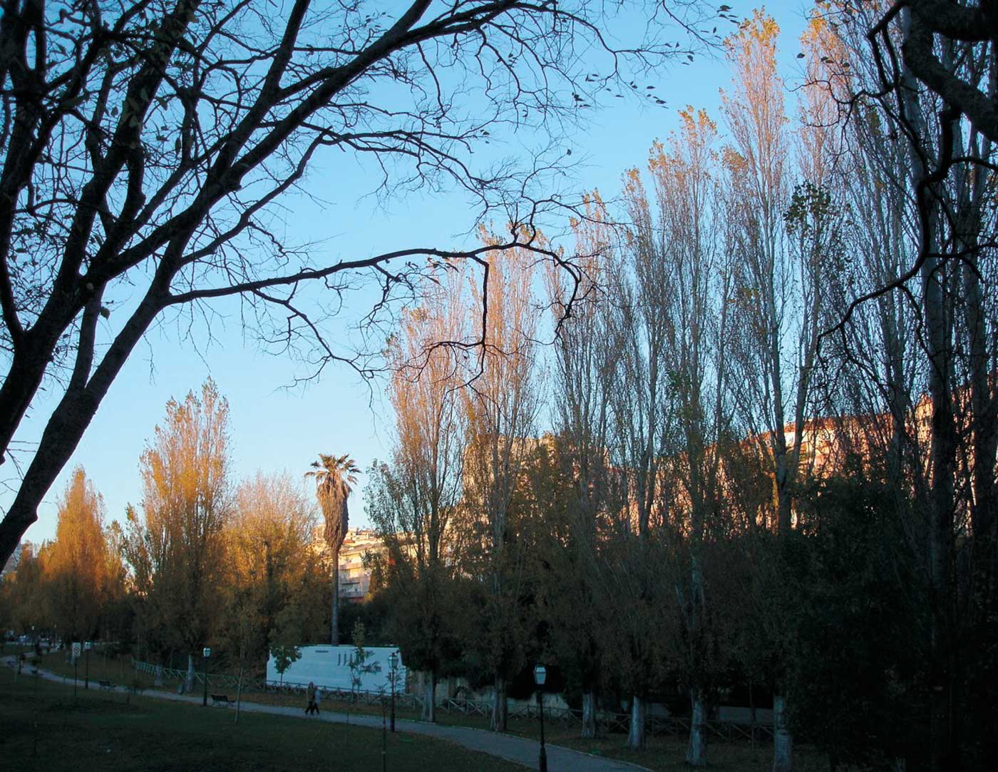 Outono no Jardim de Queluz Nov2008 Outono no Jardim de Queluz Nov2008