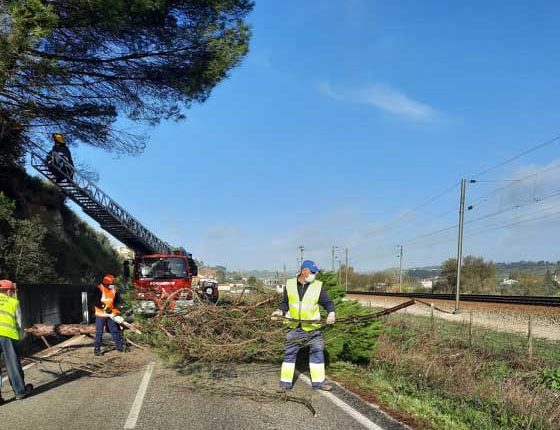 267317227 3098274630456492 6833509766230597920 n