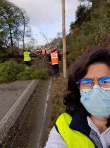 267677269 449650456731047 1334825666069676268 n