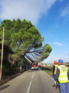 269262860 494157238670101 1244721329438463729 n 269262860 494157238670101 1244721329438463729 n