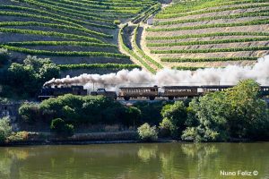 Linha do Douro Linha do Douro