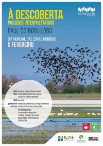 Passeios Intrepretativos Paul Boquilobo