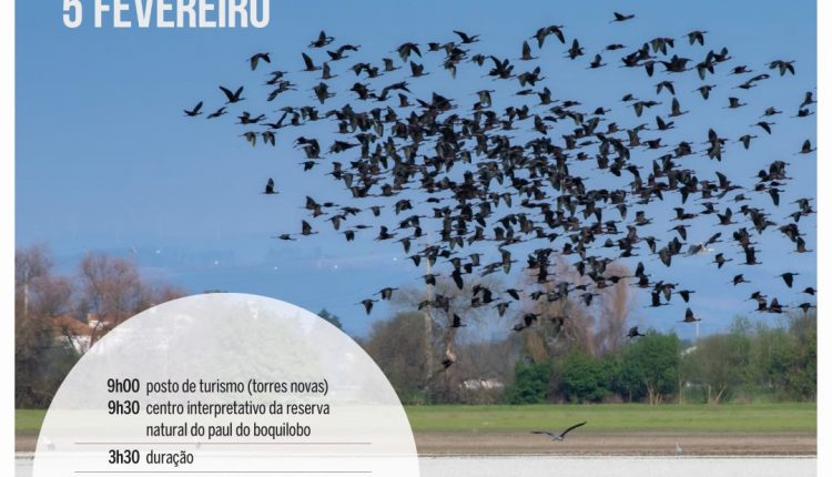 Passeios Intrepretativos Paul Boquilobo