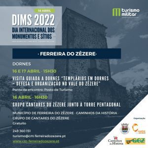 DIMS FerreiradoZzere