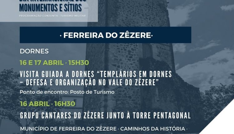 DIMS FerreiradoZzere