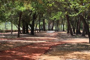 parque3