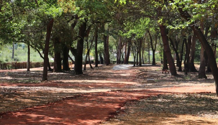 parque3
