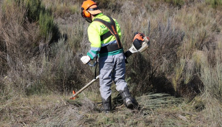 phosphorland jornal demo a limpeza de terrenos necessidade e o que deve saber