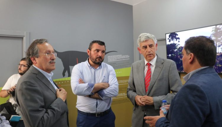 IMG 1411 1 1024×683 1