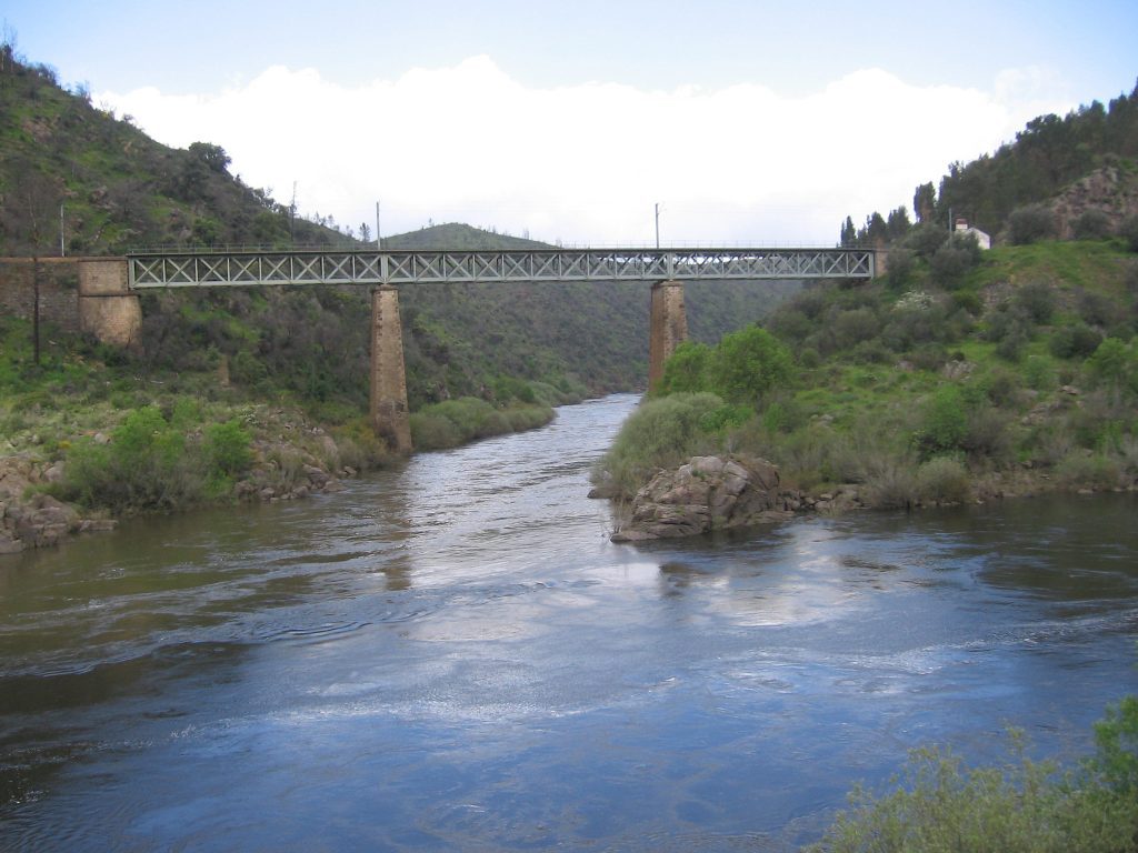 PonteOcreza