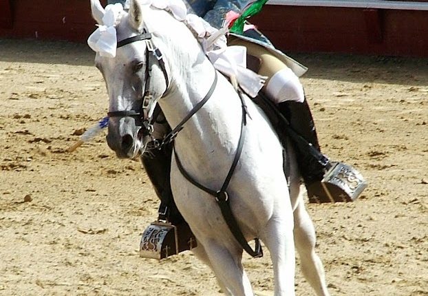Rui Salvador 3