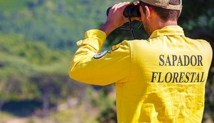 sapador florestal 5b06dadedc4f4 5caf0a545f30e 6263e3ecc9a9b