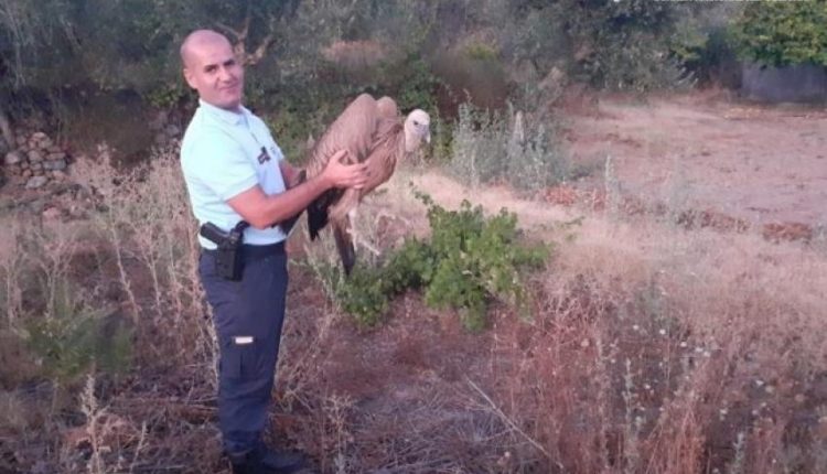 gnr c branco resgate 640x480 630dc96315ba2