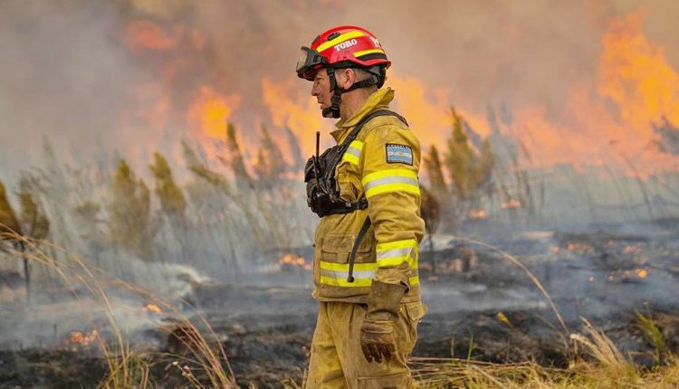 queimas e queimadas representam 62 das causas dos fogos em 2022 icnf 1