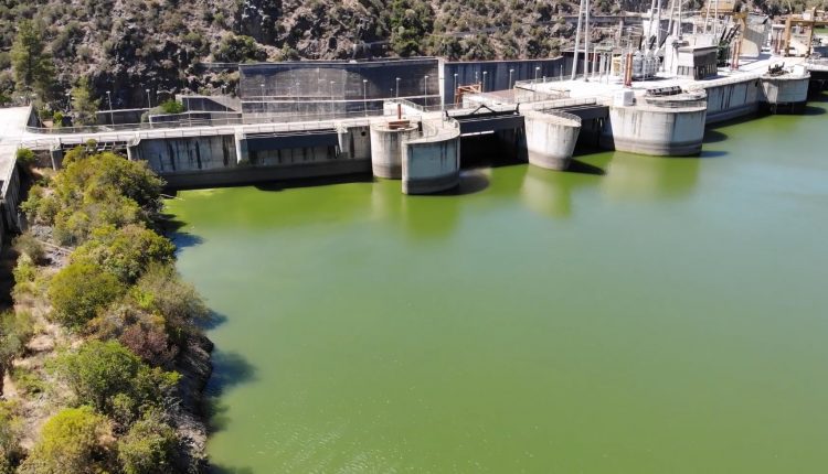 26010 cedillo 2022 62e2457818f94