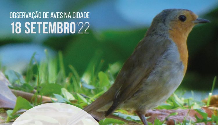 RT1646 Passeios intrepretativos 18setemebo 01 vvv