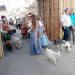 IMG 20221002 173615