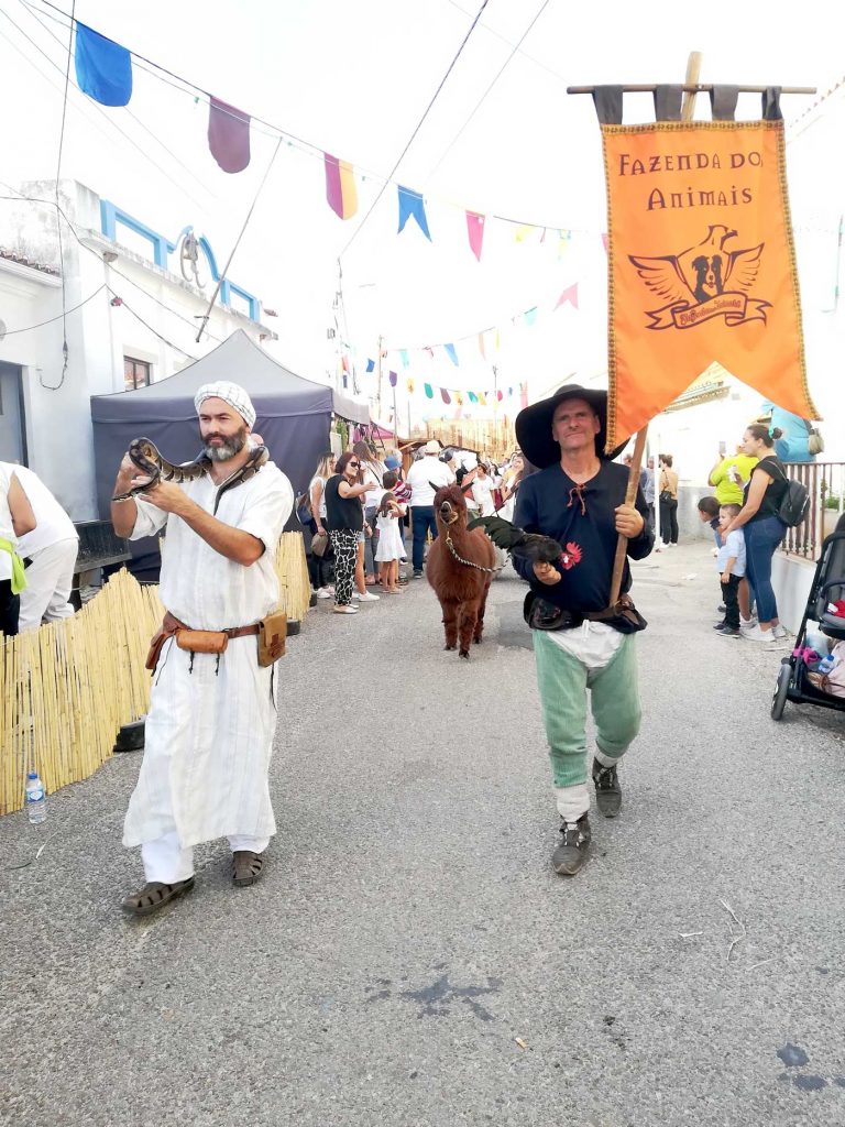 IMG 20221002 173709