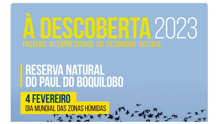 Passeios Intrepretativos Paul Boquilobo 2023