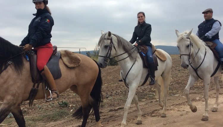 passeio a cavalo golega