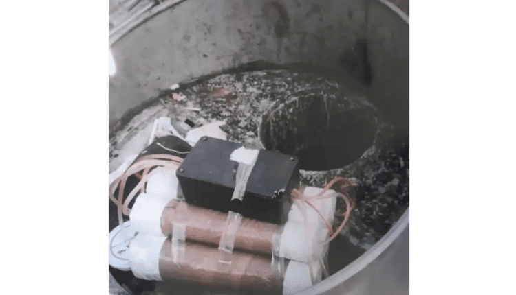 IMG 20230224 WA0012 copia