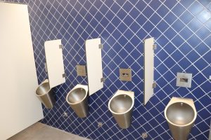 SanitariosDornes5