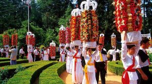 festa dos tabuleiros tomar