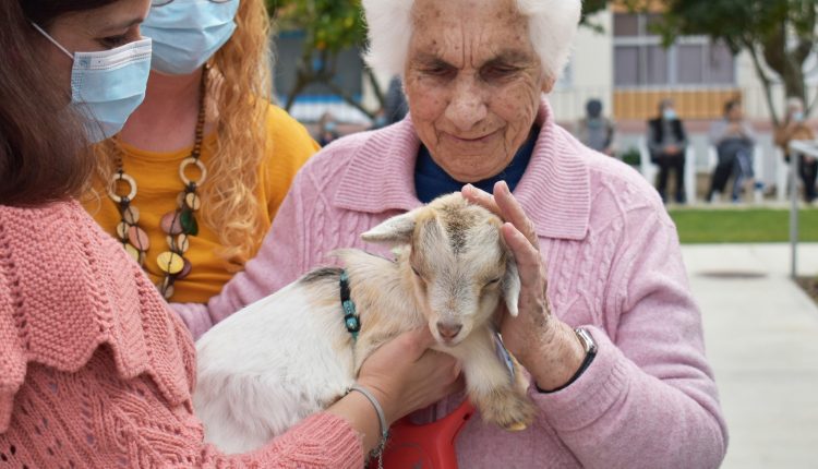 337755462 1570687060106805 3653287851937801191 n