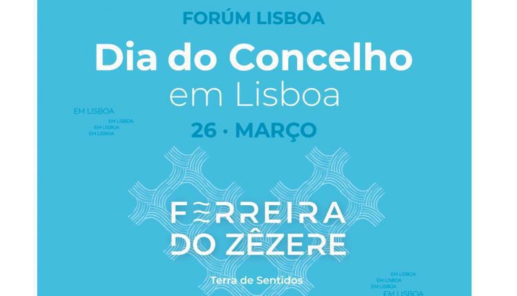 participe dia fzz lx 12