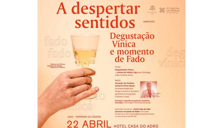 degustacao vinica 07