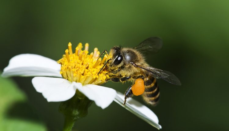 dreamstime m 38156823 e1621444386756 1600x1052