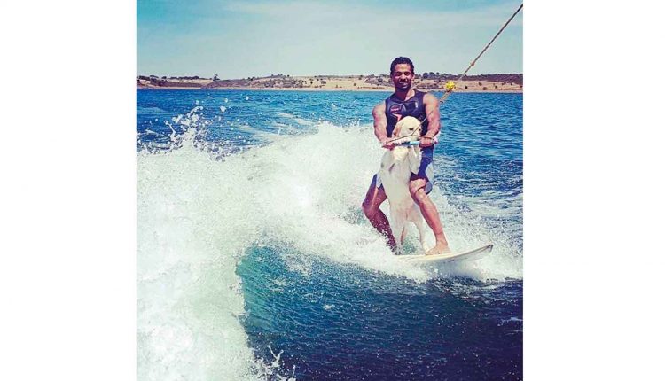 papaia do wakesurf
