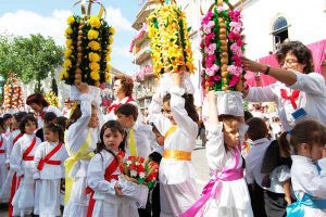 tomarfestatabuleiros tomarfestatabuleiros
