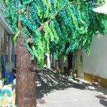 IMG 0180