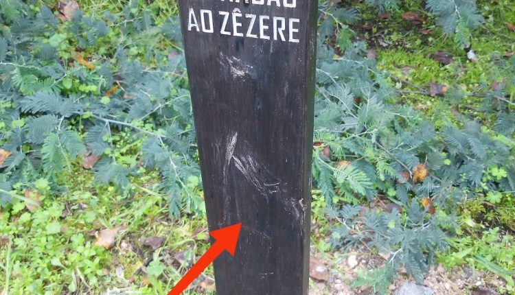 409621431 721766613389151 2933834287944349970 n