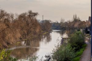 Rio Almonda (19)