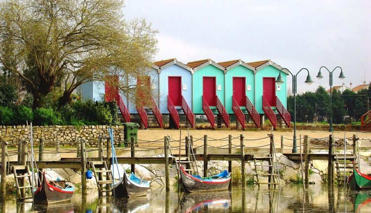 fotor 2023 2 17 14 34 35 min 1 min