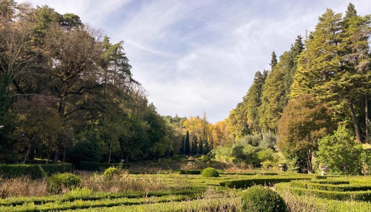 whatsapp image 2020 11 02 at 32920 pm 3 aspect43