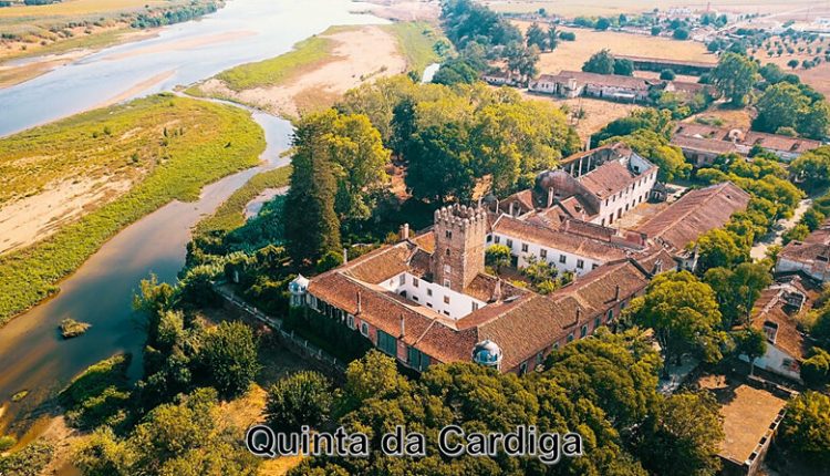 cardiga aerea 780x449